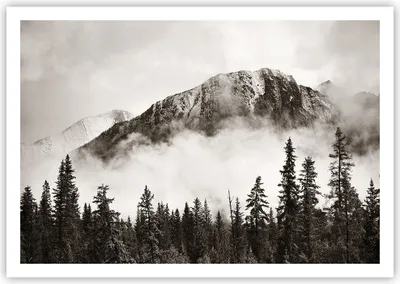 Produktbild von Poster - Poster ohne Rahmen - Nebel Berg Wald - 100x70 cm - Wand Bild - Wanddeko - Wandbilder - Kunstposter - Wandposter - Bilder - Kunstdruck - Wanddekoration - Wandbild - P2XAA100x70-4936