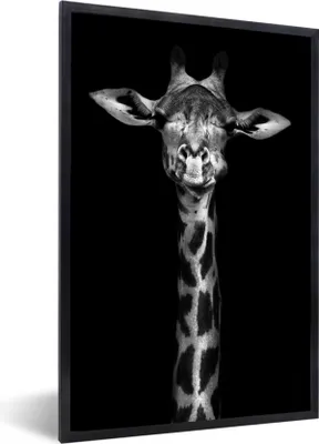 Produktbild von MuchoWow® Gerahmtes Poster Giraffe - Porträt - Tiere - Schwarz - Weiß 40x60 cm - Poster mit Schwarzem Bilderrahmen Wandposter Rahmen Foto Bilder - Papierdruck - Wandbilder