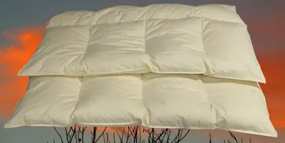Produktbild von Betten Hofmann 4-Kammer Daunenbett Steppdecke Daunendecke 155x220 cm 1600 g  60% Daunenanteil