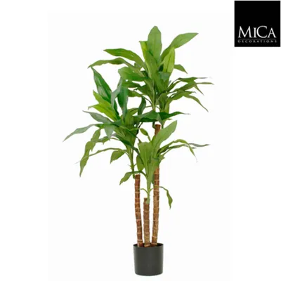 Image de Mica Decorations Dracaena Plante artificielle - H100 x Ø70 cm - Vert