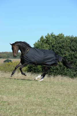 Produktbild von Bucas Irish Turnout 50g, Outdoordecke, Weidedecke in verschiedenen Farben, Farbe:Black/gold, Größe:140