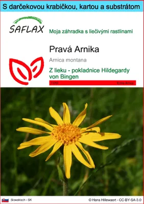Obrázok produktu pre SAFLAX Darčeková sada - Pravá Arnika - Arnica montana - 40 Semená - S darčekovou krabičkou, prepravným štítkom, darčekovou kartou a pestovateľským médiom