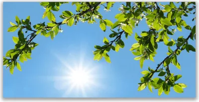 Produktbild von Tulup Leinwand-Bilder 120x60 Wandbild Canvas Kunstdruck Sonne Natur
