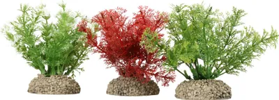 Produktbild von Aqua Della Aquariumpflanze Wasserfeder natur