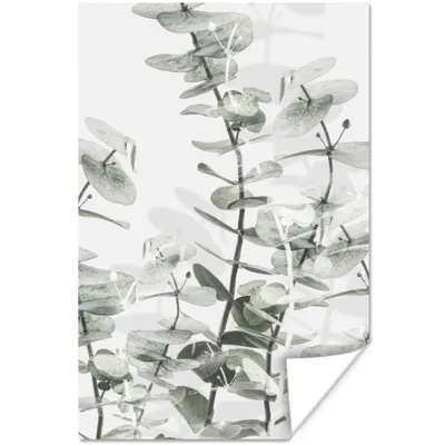 Produktbild von MuchoWow® Poster Pflanzen - Natur - Grün - Blumen 60x90 cm - Wanddekoration