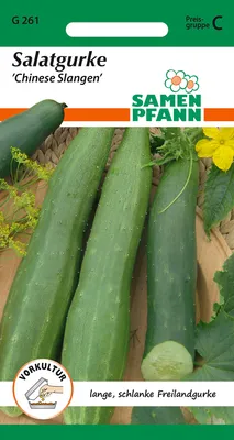 Produktbild von Salatgurke Chinese Slangen | Salatgurkensamen von Samen Pfann