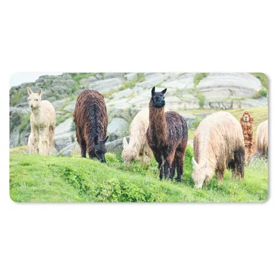 Produktbild von MuchoWow® Schreibtischunterlage Alpaka - Berg - Gras 80x40 cm - XXL Mauspad - Gaming Mauspad
