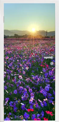 Obrázek produktu pro MuchoWow® Plakát na dveře - Květiny - fialová - západ slunce - 235x90 cm - Samolepicí fólie na dveře