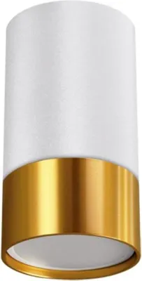 Image de Spot en Saillie BLANC et OR pour Ampoule GU10