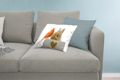 Produktbild von MuchoWow® Zierkissen Sofakissen Wohnzimmer Dekokissen 60x40 cm Tiere - Kaninchen - Vogel - Kopfkissen - Polster mit Foto