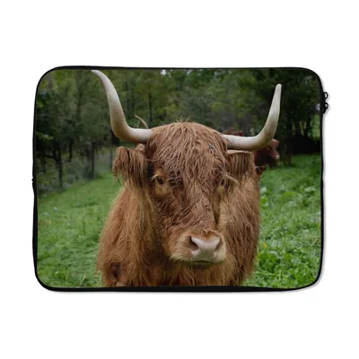 Produktbild von MuchoWow® Laptop Hülle 17 Zoll Laptoptasche Schottische Highlander - Tiere - Gras - Zipper - Schutzabdeckung