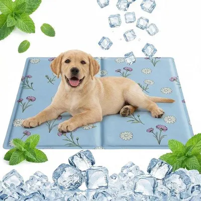 Produktbild von Famanu Kühlmatte für Hunde und Katzen - selbstkühlende Gelmatte, 50 x 65 cm