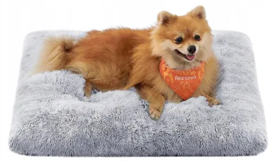 Produktbild von Feandrea Hundebett Plüschmatte 65x45cm Grau PGW200G01