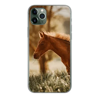 Produktbild von MuchoWow® Handyhülle Schutzhülle Hülle für iPhone 11 Pro Max Pferd - Licht - Wiese Silikon Softcase Handy Hülle - Schutz