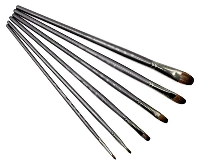 Produktbild von 6-teiliges Set professionelle Pinsel für Acrylmalerei