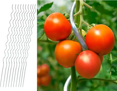 Produktbild von Tomatenspiralstab Spiralstab Pflanzstab 150cm 10er Set Rankhilfe