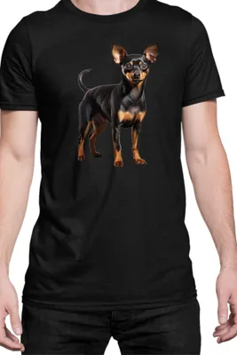 Produktbild von Herren T-Shirt Dogs Breeds Miniature Pinscher Dog Breed 005, Man 4XL / Schwarz
