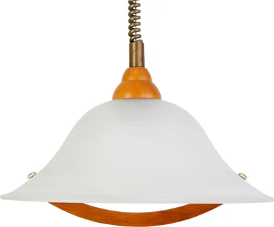 Zdjęcie produktu dla Lampa wisząca Brilliant Torbole PE 1 RZ ze zwijanym przewodem; 73678/72