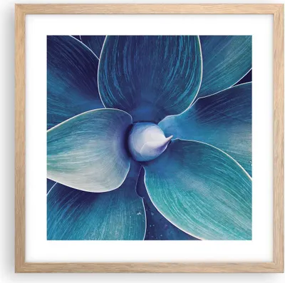 Produktbild von Gerahmtes Poster - Rahmen in heller Eiche - Agave Blau Blume - 40x40 cm - Wand Bild - Wanddeko - Wandbilder - Kunstposter - Wandposter - Bilderrahmen - Bilder - Kunstdruck - P2NAC40x40-4972