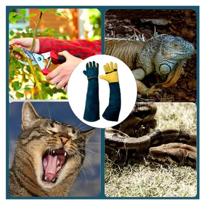 Produktbild von Bissfeste Handschuhe für den Umgang mit Tieren, 60 cm Kratzfeste Handschuhe für Katzen, Reptilien, Welpen, Vögel und Gartenarbeiten
