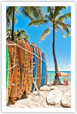 Produktbild von Poster - Poster ohne Rahmen - Board Surfen Strand - 61x91,5 cm - Wand Bild - Wanddeko - Wandbilder - Kunstposter - Wandposter - Bilder - Kunstdruck - Wanddekoration - Wandbild - P2XPA61x91-4165