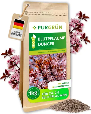 Produktbild von Purgrün -Blutpflaume-Dünger 1 kg,