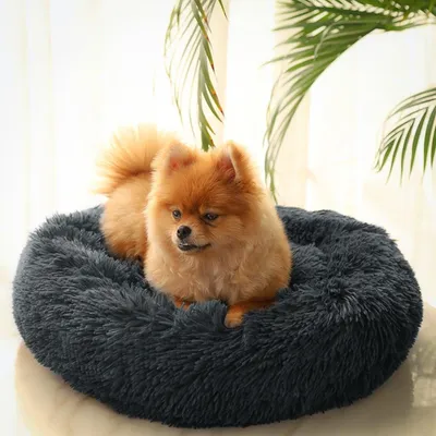 Immagine prodotto di Cuccia a forma di ciambella per gatti, in morbido peluche, diametro 50 cm, lavabile, adatta a piccoli gatti e cani
