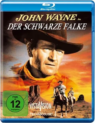 Zdjęcie produktu dla Der schwarze Falke