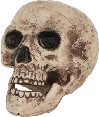 Produktbild von Skull Large Costume Accessory - Size Einheitsgröße