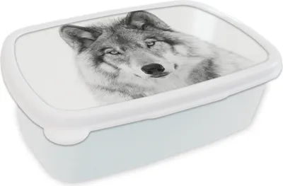 Produktbild von KitchenYeah® Lunchbox Brotzeit Brotdose 17x11 cm Wolf - Tiere - Porträt - Weiß Kinder Brotzeitdose - Lunch Box - Kinder - Sandwich-Box - Schulbox - Lunch Boxen
