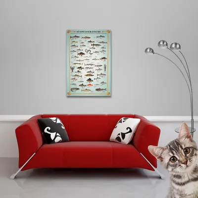 Obrázek produktu pro Vzdělávací - Vzdělávání - Plakát - Sladkovodní ryby + 1 plakát o velikosti 61x91,5cm