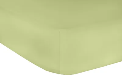 Produktbild von Mr.Sandman Elasthan Classic Topper Spannbetttuch Apfel 160x200-210cm 220g/m²