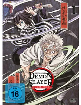 Produktbild von Demon Slayer: Kimetsu no Yaiba Hashira Training Arc - Vol.1 - [DVD]