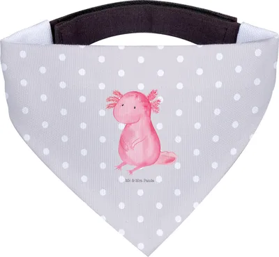Produktbild von Mr. & Mrs. Panda Halstuch Für Hunde Axolotl Niedlich - Grau Pastell - Geschenk, Liebe, Hundehalstuch, Tuch, Weisheit, Zufrieden, Lebensweisheit, Hund, Fröhlich