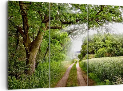 Produktbild von Bild auf Leinwand - Leinwandbild - Pfad Natur Wald Grün - 105x70cm - Wand Bild - Wanddeko - Leinwanddruck - Bilder - Kunstdruck - Wanddekoration - Leinwand bilder - Wandkunst - CE105x70-2637
