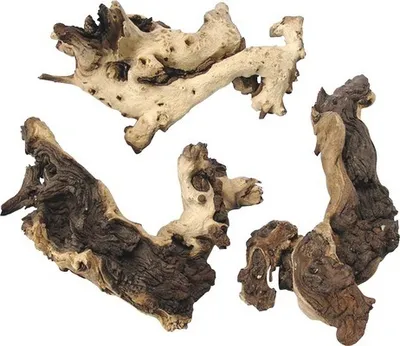 Produktbild von Aquarien-Dekoration Mopani-Wurzel medium
