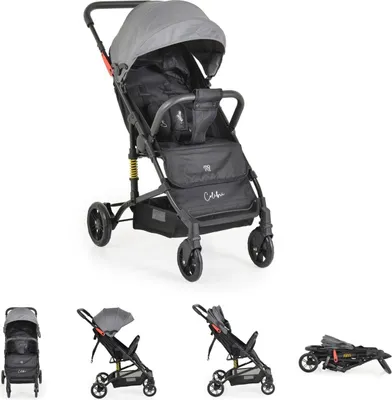 Produktbild von Moni Kinderwagen Buggy Colibri, faltbar, verstellbar, 5-Punkt-Gurt, ab 6 Monaten grau