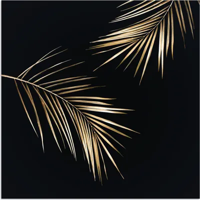 Produktbild von MuchoWow® Poster Blätter - Pflanzen - Gold - Schwarz - Luxus 100x100 cm - Babyzimmer