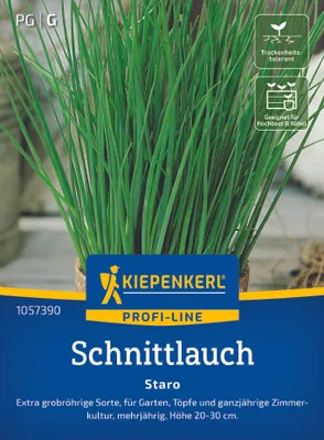 Produktbild von Kiepenkerl Schnittlauchsamen Staro Allium schoenoprasum 0,5 bis 1 m²