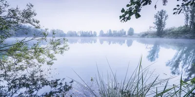 Image de Sanders & Sanders Poster Paysage Bleu - 612531 - 200 x 100 cm