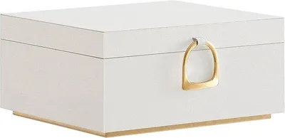 Produktbild von Famanu Schmuckbox mit zwei Ebenen und Griff, herausnehmbares Fach, kompakte Schmuckaufbewahrung