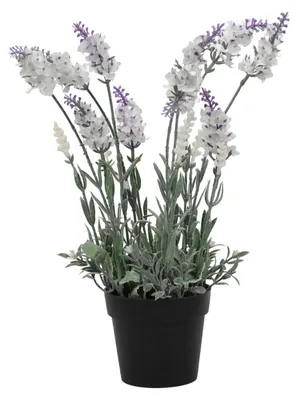 Productafbeelding van Kunstlavendel in pot, 40 cm