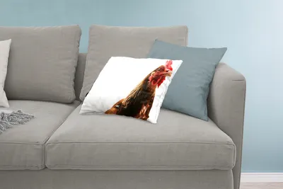 Produktbild von MuchoWow® Zierkissen Sofakissen Wohnzimmer Dekokissen 60x40 cm Hahn - Bauernhoftiere - Federn - Kopfkissen - Polster mit Foto