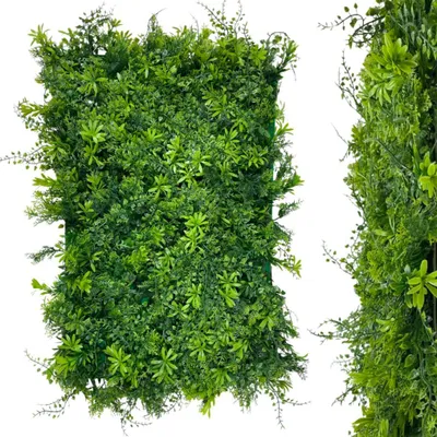 Image de Mur végétal - panneau de plantes Philodendron, Thuja, Sedum