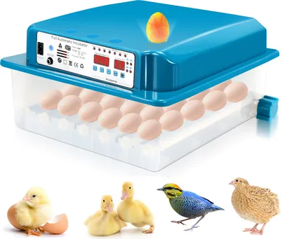 Produktbild von TolleTour Brutmaschine für 36 Eier Automatische Inkubator mit vollautomatischem Wendesystem, Brutautomat mit Temperatursteuerung und Feuchtigskeitsregulierung,für Hühner, Enten und andere Küken