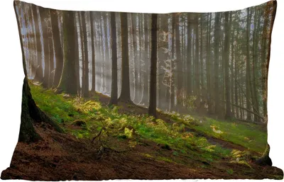 Produktbild von MuchoWow® Outdoor Kissen - Sonne - Äste - Bäume - Wald - Natur - 50x30 cm - Wetterfest - Lounge Kissen - Sofa kissen - Wohnzimmer Dekoration