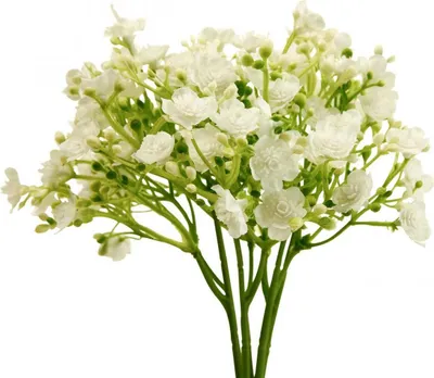 Produktbild von Weißes Schleierkraut künstlich Deko Gypsophila 30cm 12 Stk, 12 Stück