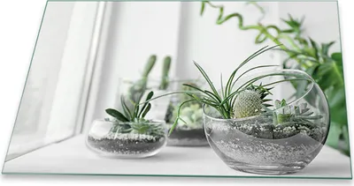 Produktbild von Herdabdeckplatte Glaskeramikfeld Spritzschutz Glas Universal Deko 80x52 Pflanzen Grün