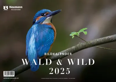 Produktbild von Kalender Wald & Wild 2025 DIN A3 mit 12 Natur-Fotomotiven und Feiertagsangaben