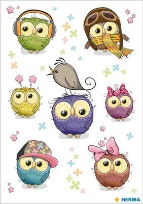 Obrázek produktu pro HERMA 15399, Vícebarevný, Bird pattern, 1 listy